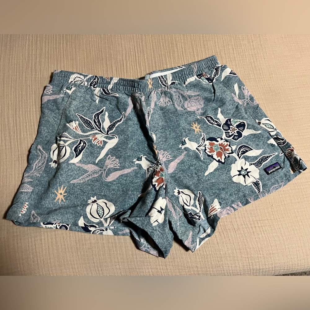 Patagonia Baggies Blue and White Patterned Shorts
